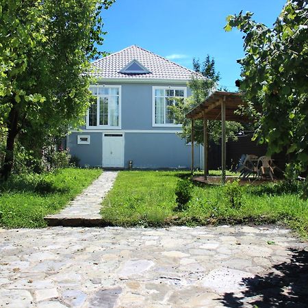 Soft Villa Габала Екстериор снимка